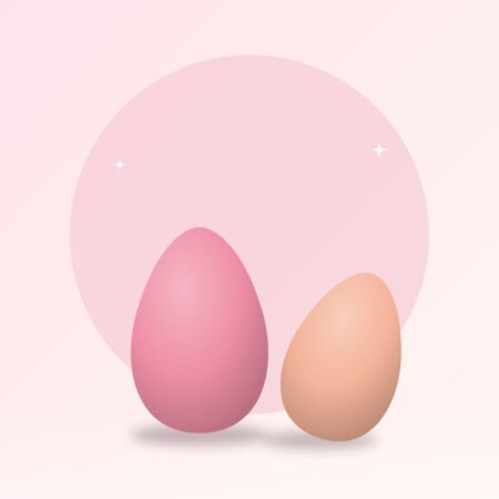 Blendly Blending Sponge Duo